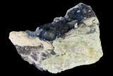 Dark Blue Fluorite Crystal Cluster - Inner Mongolia #146659-2